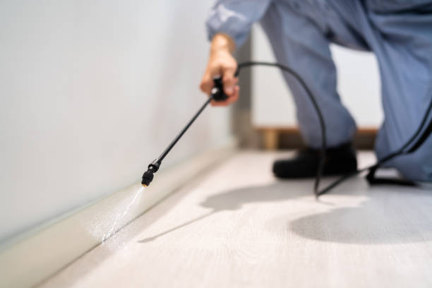 Licensed Pest Control service in Sylvan Lake, MI - Show Me Pest Control