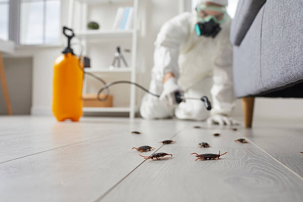 Commercial Kitchen Cockroach Control in Sylvan Lake
